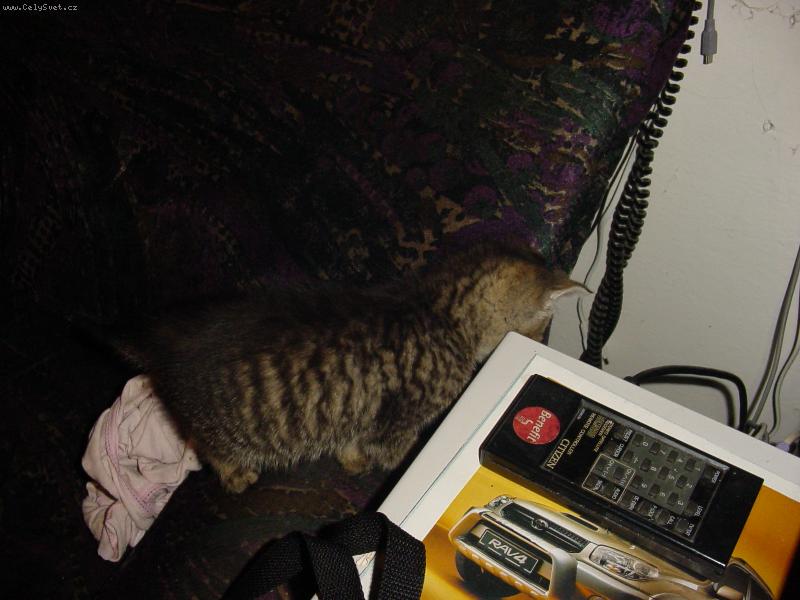 Foto: oprava�-ja to proste musim zapojit