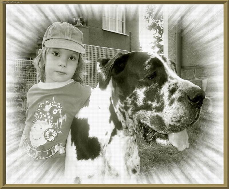 Foto: Nejup��mn�j�� pohledy-d�tsk� a ps�