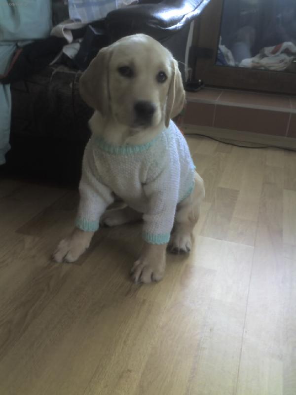 Foto: a muzem ven...