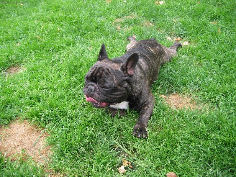 Foto: Bany-jen si trochu zd�imnu!!