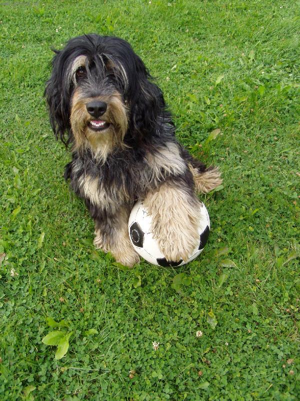 Foto: mal� fotbalista