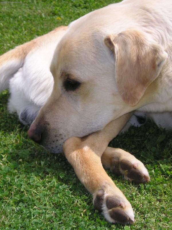 Foto: Odpo�inek-U� mi dejte pokoj...