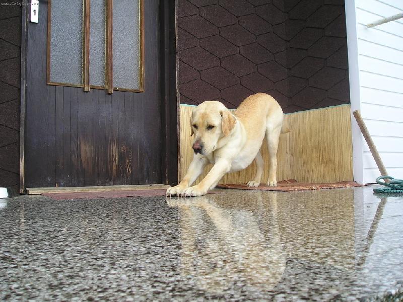 Foto: Rann� protahov�n�-P�kn� se po r�nu prot�hnout, to je z�klad dne :o)