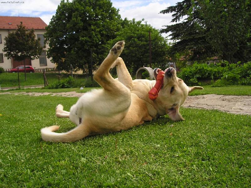 Foto: Rozko�n� v�len�-v�len��ko v�len�, to je moje....