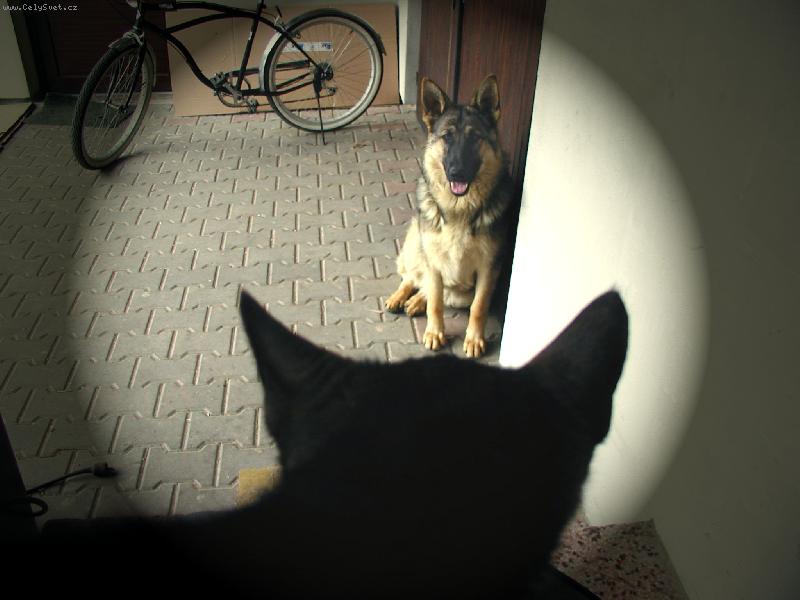 Foto: prvn� sezn�men�