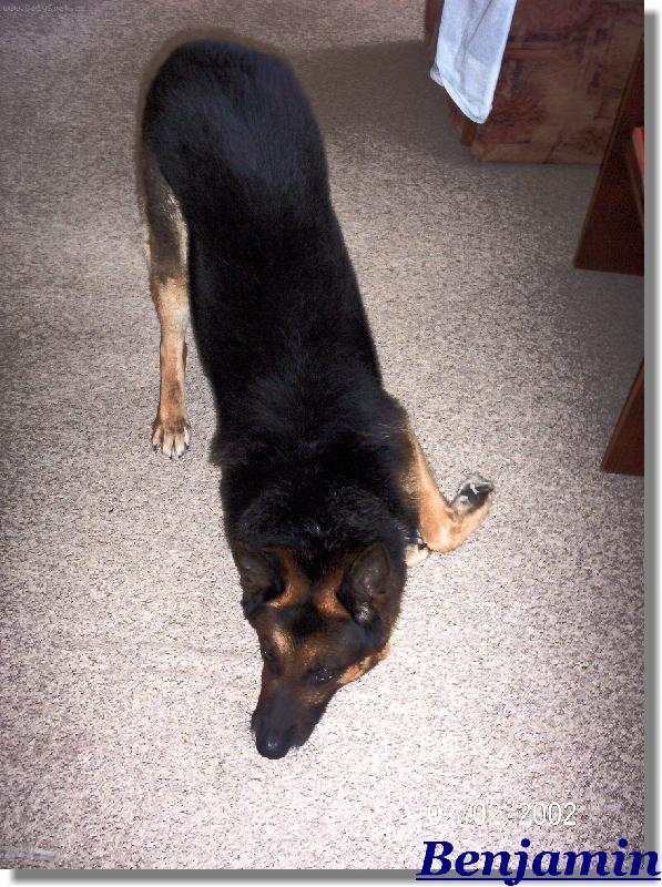 Foto: Benjamin-Ben-takhle si hraje=)