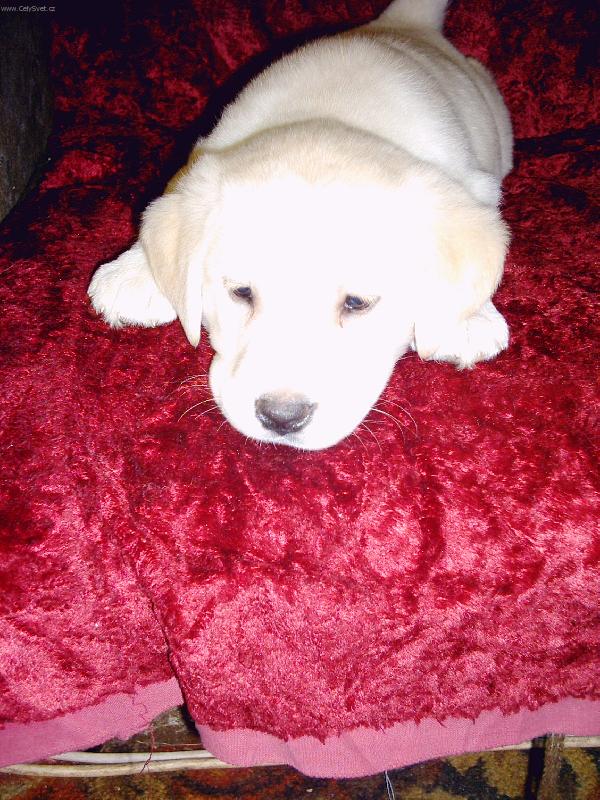 Foto: co budu d�lat, aby m� pak nehubovali...