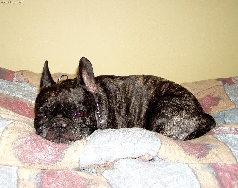 Foto: Kdy� sp�m,tak neru�it!!!