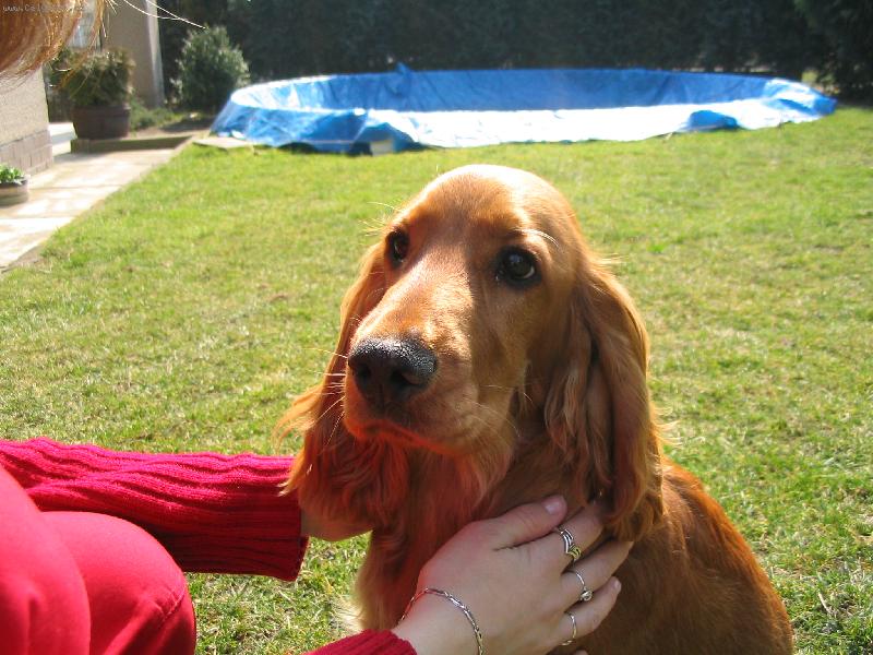 Foto: Kok��k-Dast��ek