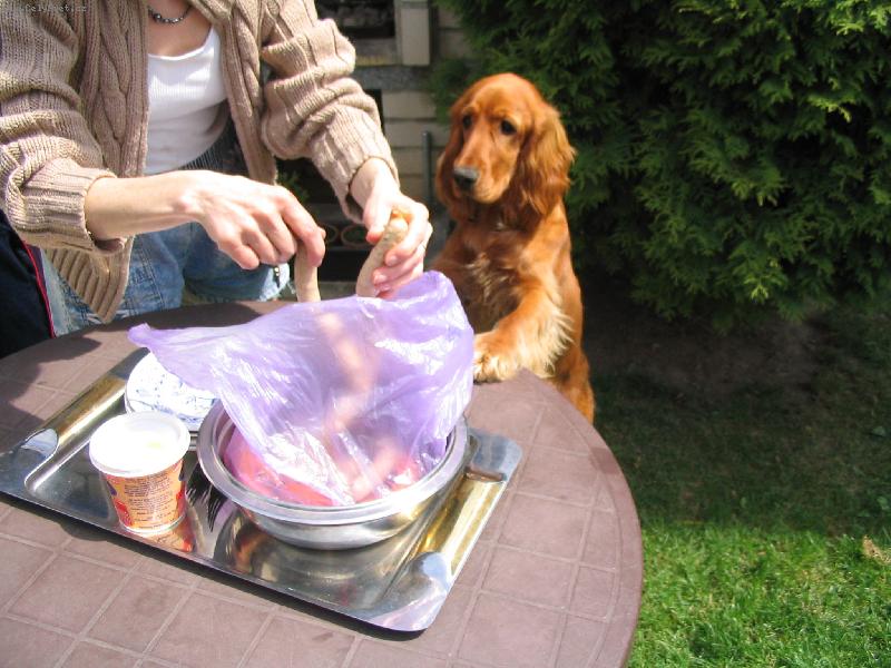 Foto: Dasty-J� klob�sky..  :-)