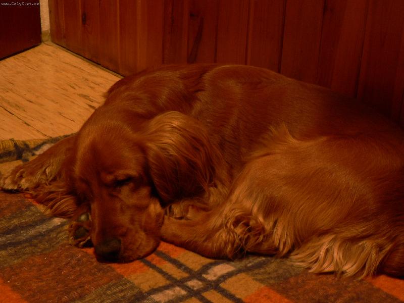 Foto: Kok��k-Spink�n�