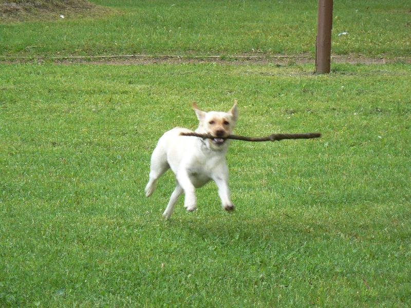 Foto: Ag�ta-aportek foceno se zoomem