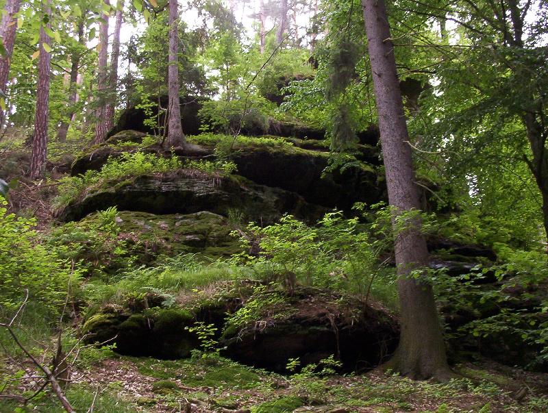 Foto: skalka-skalka nad �ekou Lu�nic� pobl� Bechyn�