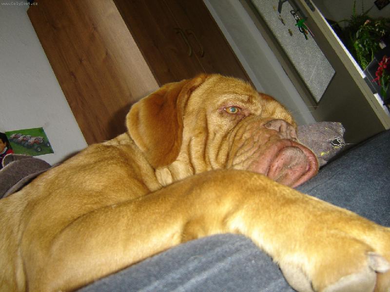 Foto: Baru�ka je machr