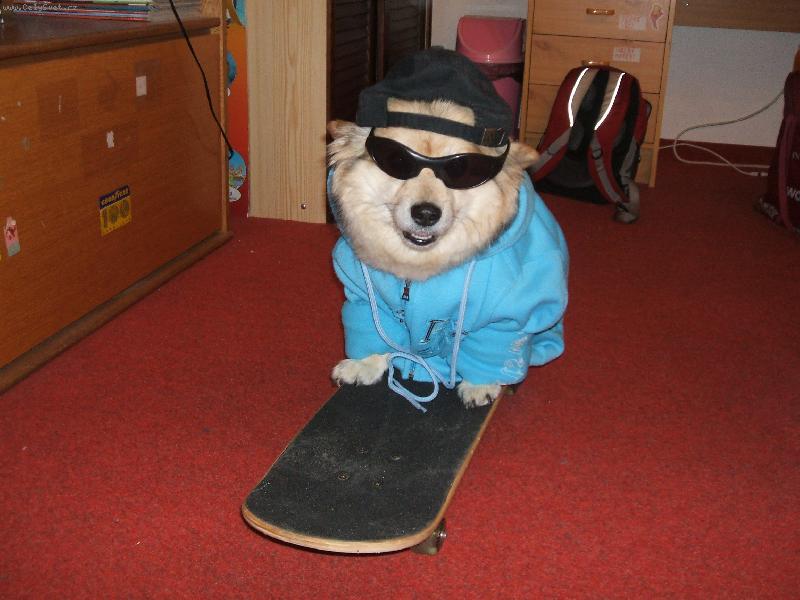 Foto: Ben��ek na skatu-Ben��ek miluje i skateboarding se svou pani�kou