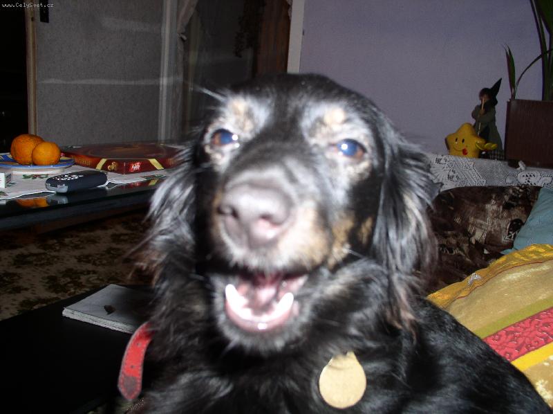 Foto: Pan� Merrynkov�-Z�v�m nad V�mi!!!