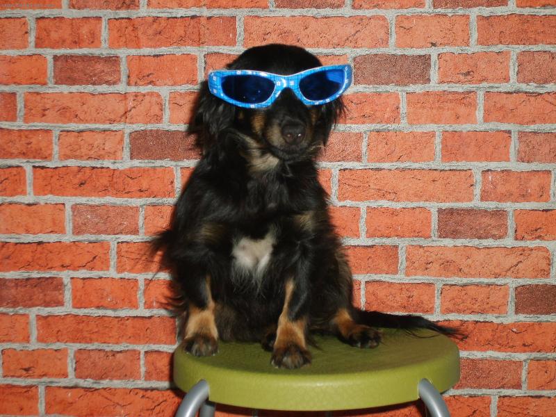 Foto: J� jsem na pohodu-a sv��!!!