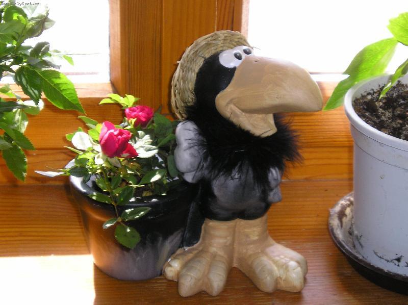 Foto: Minir��i�ky