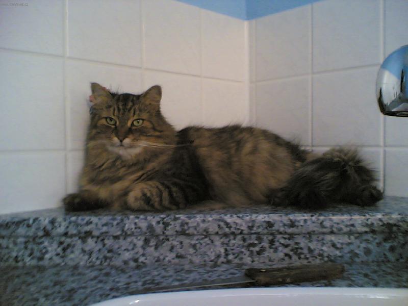 Foto: Ferda-...a te� m�m p�ehled