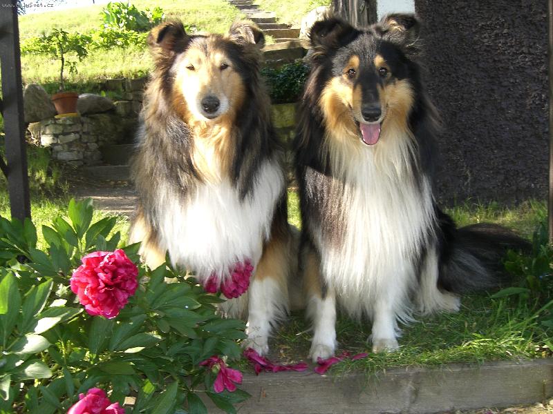 Foto: Ulvar a Beky-3.6.2006