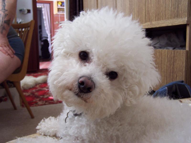 Foto: Mazl��ek-Bi�onek Kenny