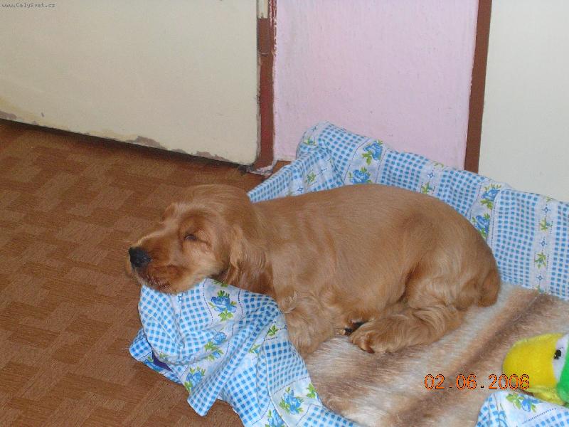 Foto: Tadeas Marcato Line-Prvn� den u nov�ho p�n��ka m� po��dn� zmohl