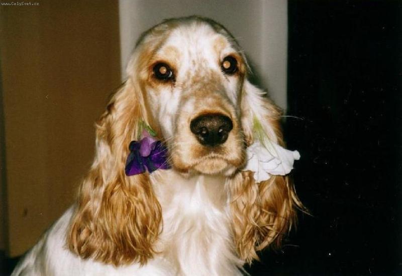 Foto: No, nejsem fe�anda:-)