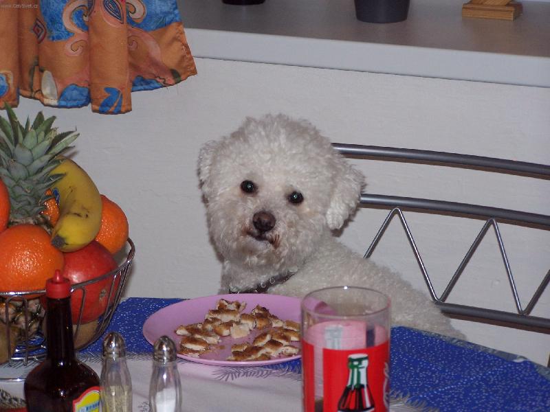 Foto: Mazl��ek-Bi�onek Kenny