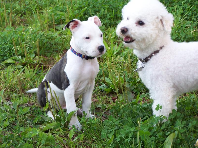 Foto: Mazl��ek-Bi�onek Kenny