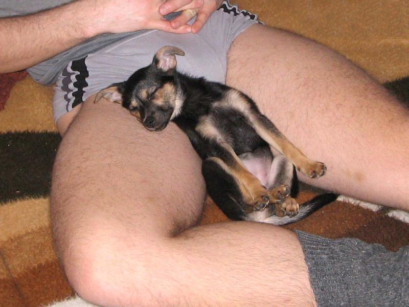 Foto: Sp�c� Betynka-u p�n��ka se spink� nejl�p . . .