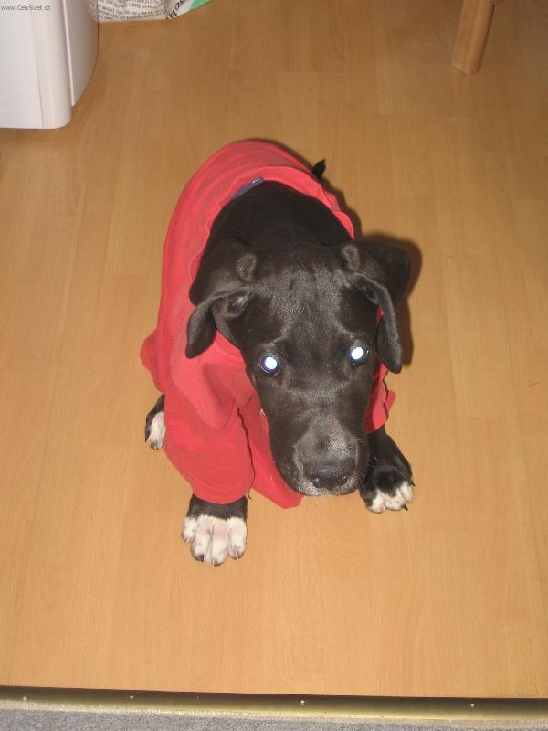 Foto: M�dn� p�ehl�dka v Pa��i-Kam se na m� hrabe Naomi Cambell