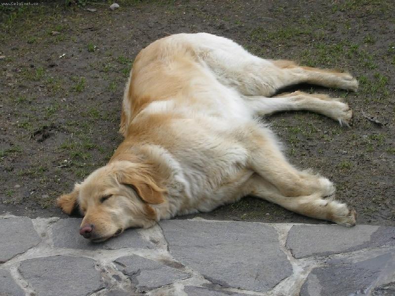 Foto: Ambru�ka-To se mi to spink�