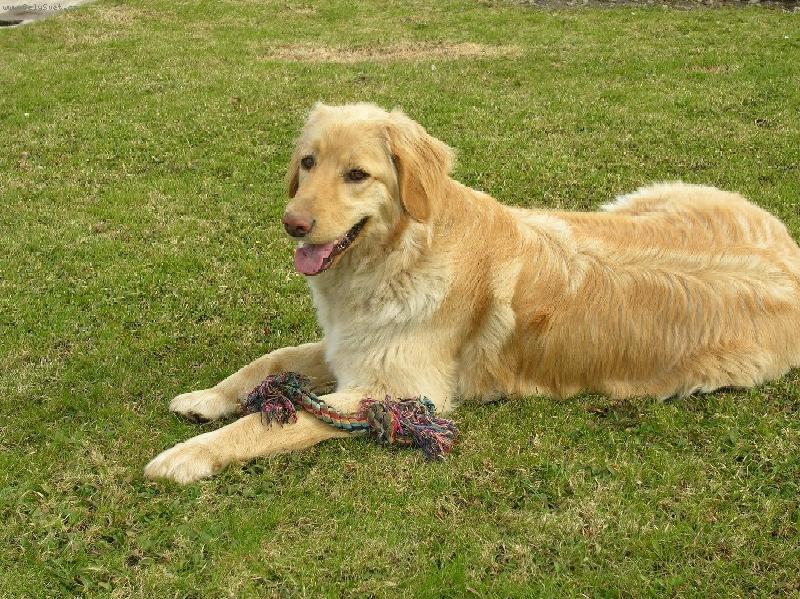 Foto: Ambru�ka-Ambru�ka se svoj� hra�kou