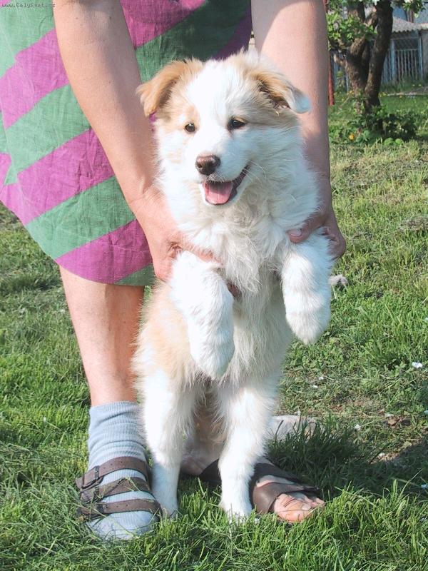 Foto: TO JE TEN SPR�VN� V�STAVN� POSTOJ :-D-JAK VYFOTIT V KLIDU NA�� JOY