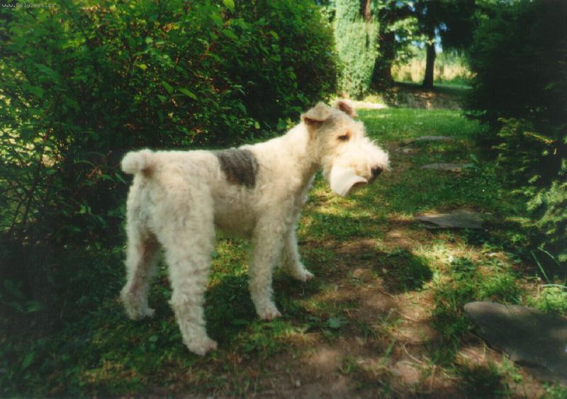 Foto: Na�e zlod�jka pono�ek Jenny