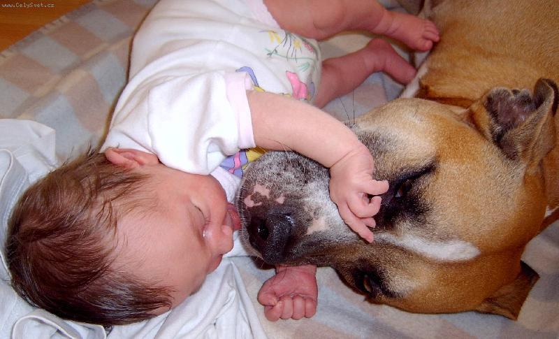 Foto: Pohoda kl�dek....-Ares5let a Kl�rka5dn�...