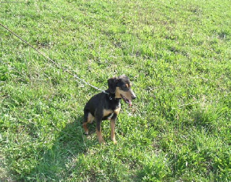 Foto: G�binka-Je to vo��ek! a mil�ek