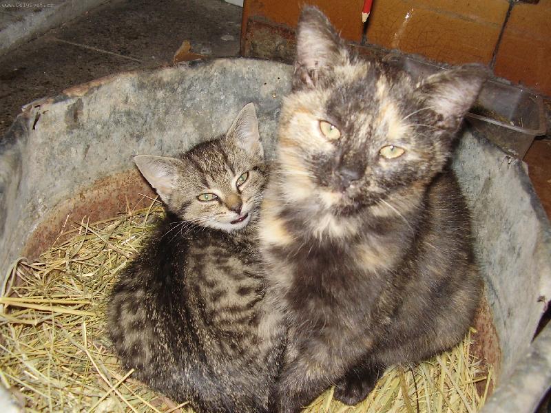 Foto: To je kr�sa...... :)-Matka a dcera v jednom pelechu