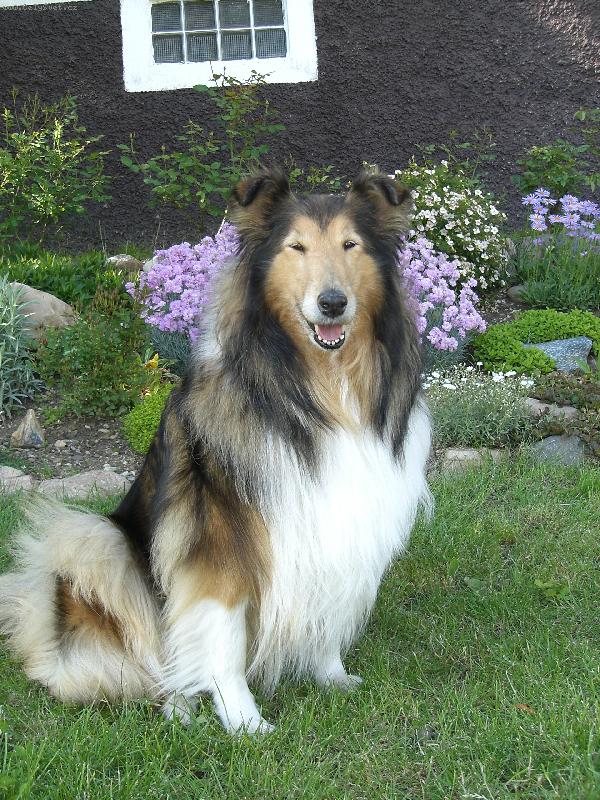 Foto: Beku�ka-4.6. 2006