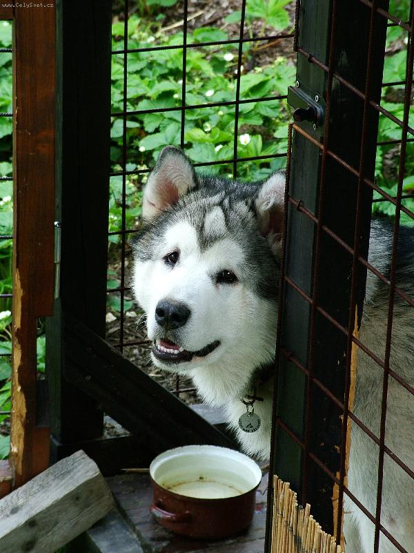 Foto: m�j brou�ek:)