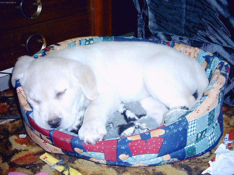 Foto: u� je mi to zase mal�