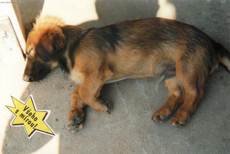 Foto: Ron��ek-Odpo�inek