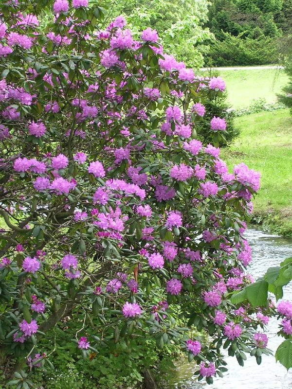 Foto: Jen se trochu nap�t