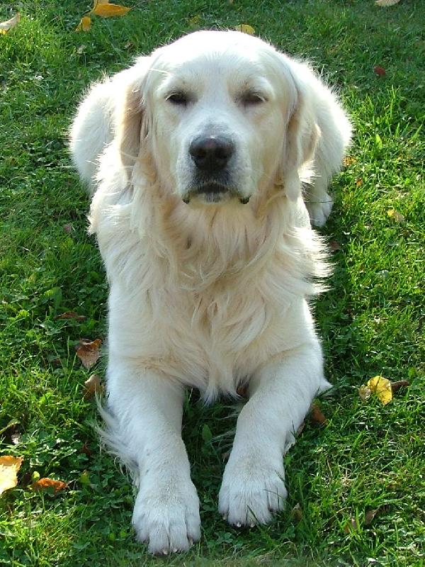 Foto: Tady hl�d�m j�!