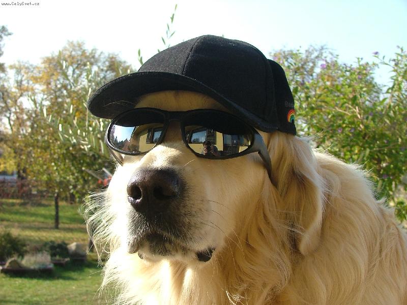 Foto: A jdeme na koupali�t�.