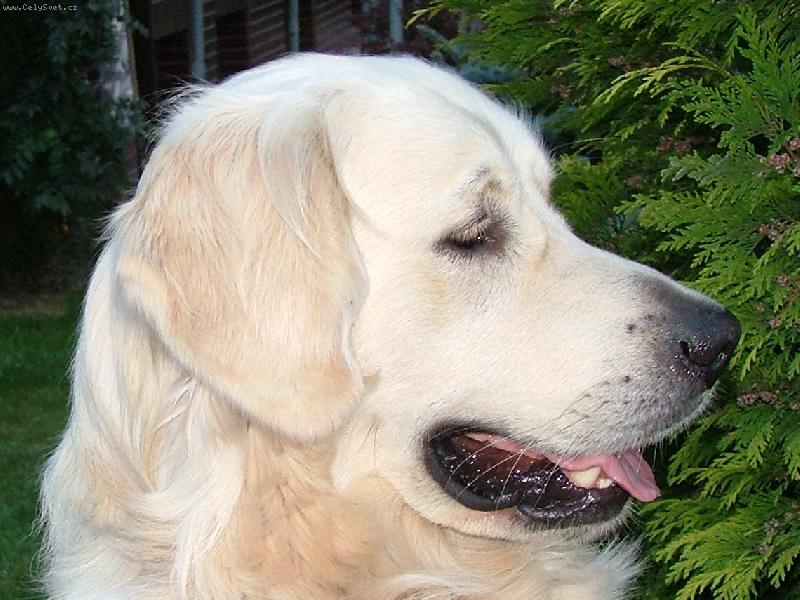 Foto: Kde m�m tu nev�stu?