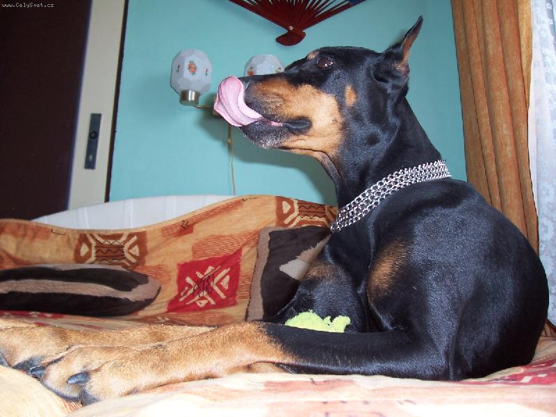 Foto: dobrota-Ten m��ek je dobrej.M�am.