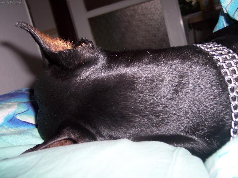 Foto: S�ra-kdo to sp� vedle m�?