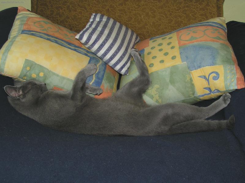 Foto: Jura-tohle je aktivn� sp�nek