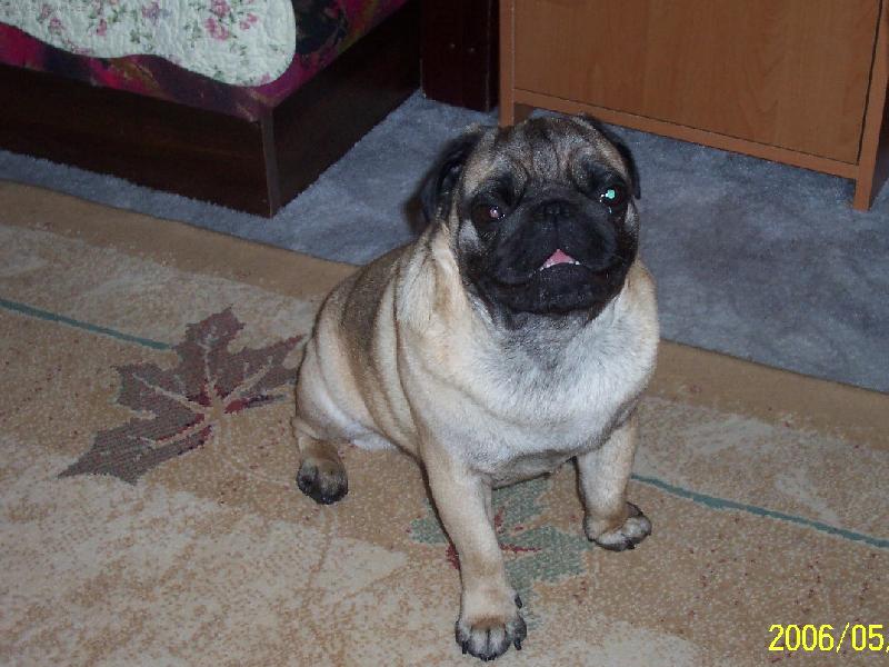 Foto: Eddy-Edynkovi bylo tro�ku horko:-)